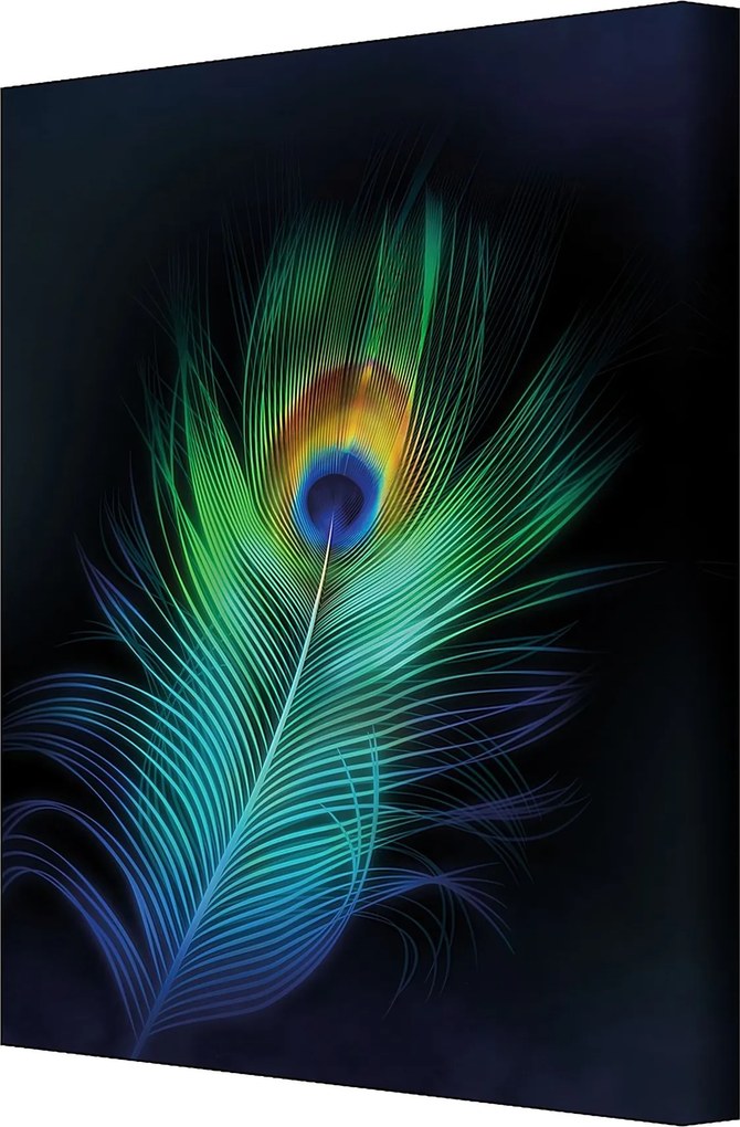 Plátno maľba Peacock Eye