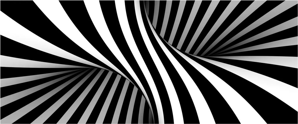Abstraktní obraz so zebrymi pruhmi (120x50 cm)