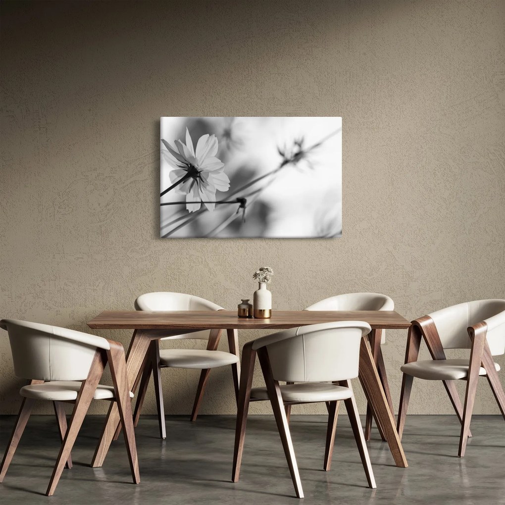 Obraz - Čiernobiele kvety (90x60 cm)