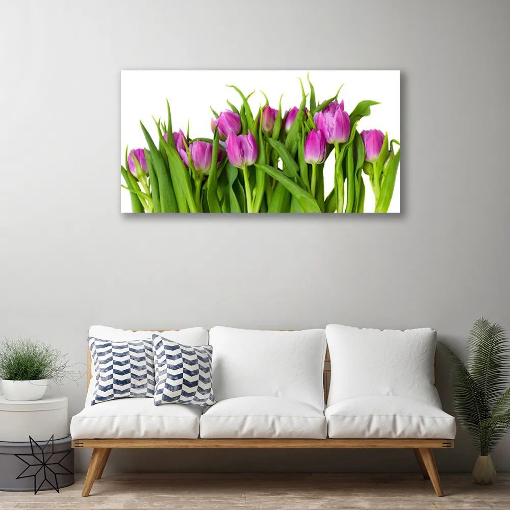 Obraz na plátne Tulipány kvety rastlina 125x50 cm