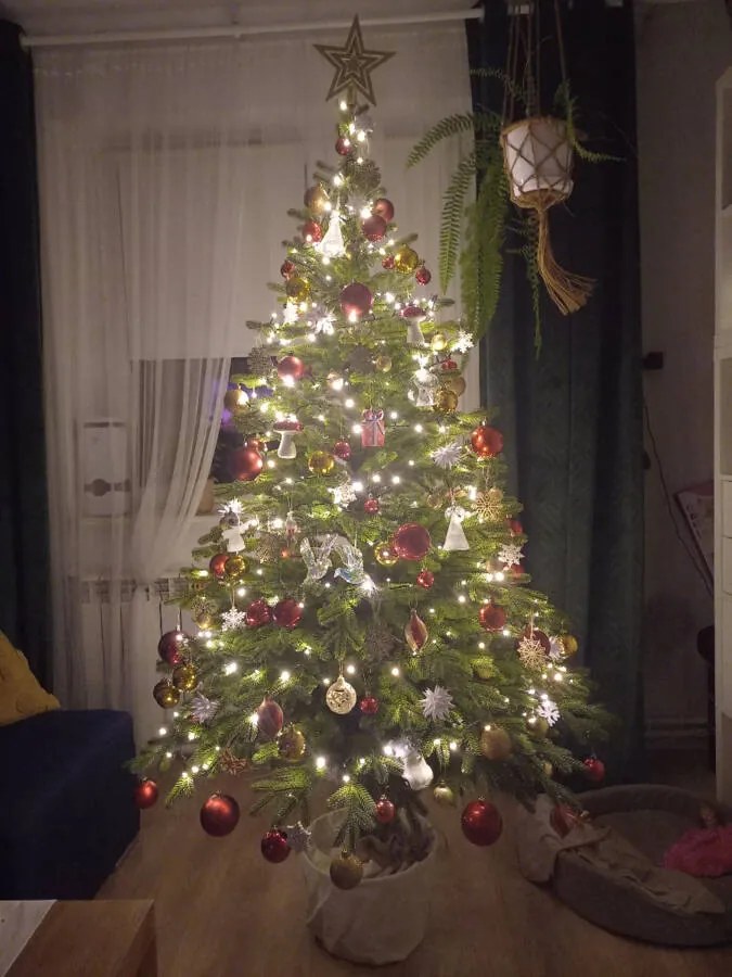 Smrek Prestige na pni 100% 3D- 210cm