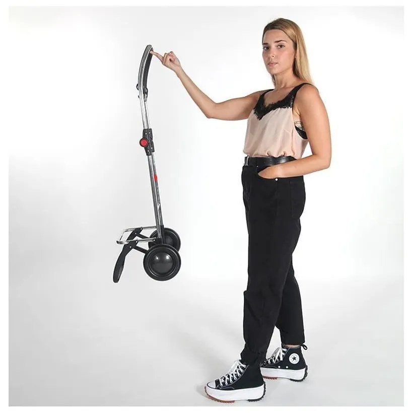 Nákupná taška na kolieskach 43 l I-Max MF 2 Logic – Rolser