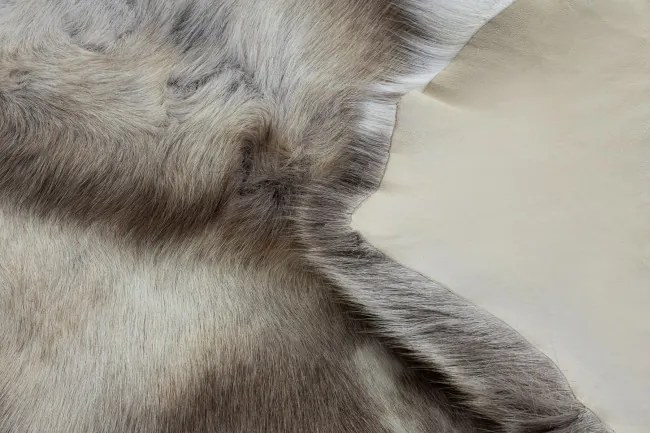 Koberec RENIFER POK003 PREMIUM hnedý / biely