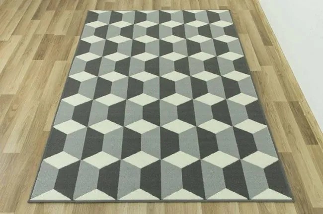 Koberec LUNA 503757/89911 Kocky sivý