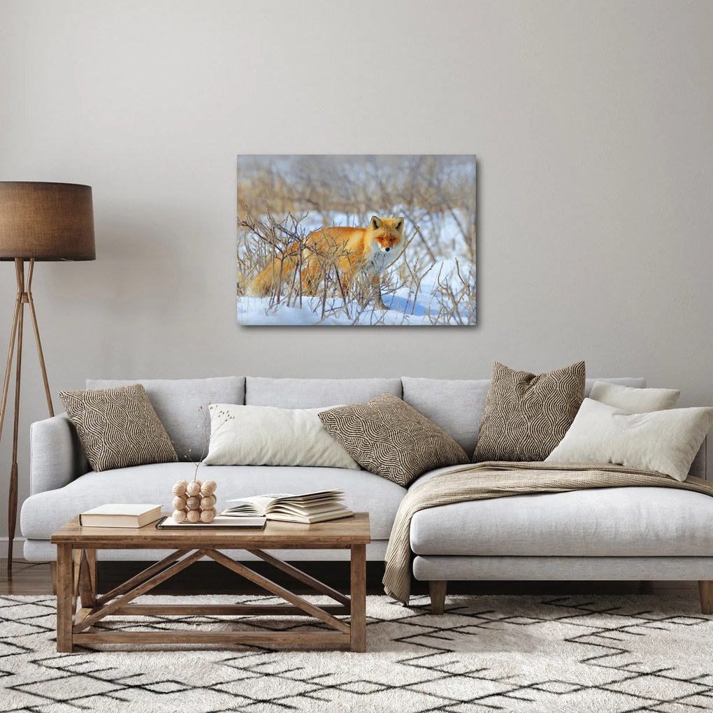 Obraz - Lišiak (70x50 cm)