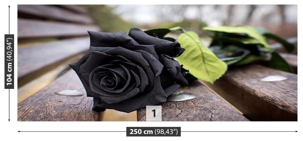 Fototapeta Vliesová Čierna ruža 152x104 cm