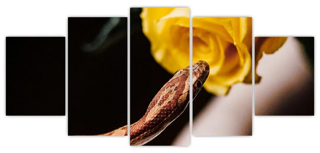 Obraz hada so žltou ružou