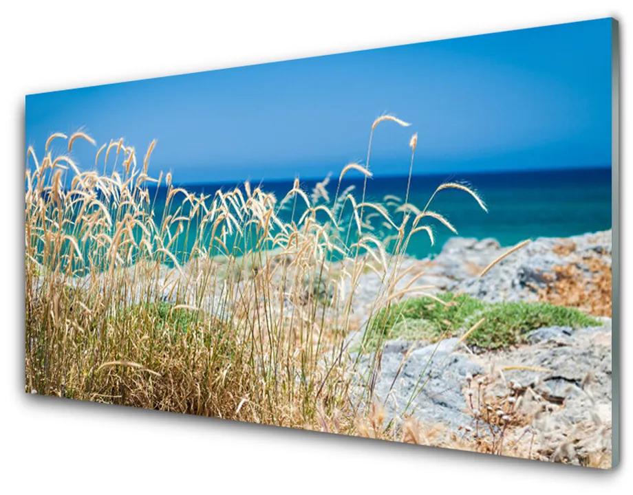Obraz na akrylátovom skle Pláž príroda 125x50 cm