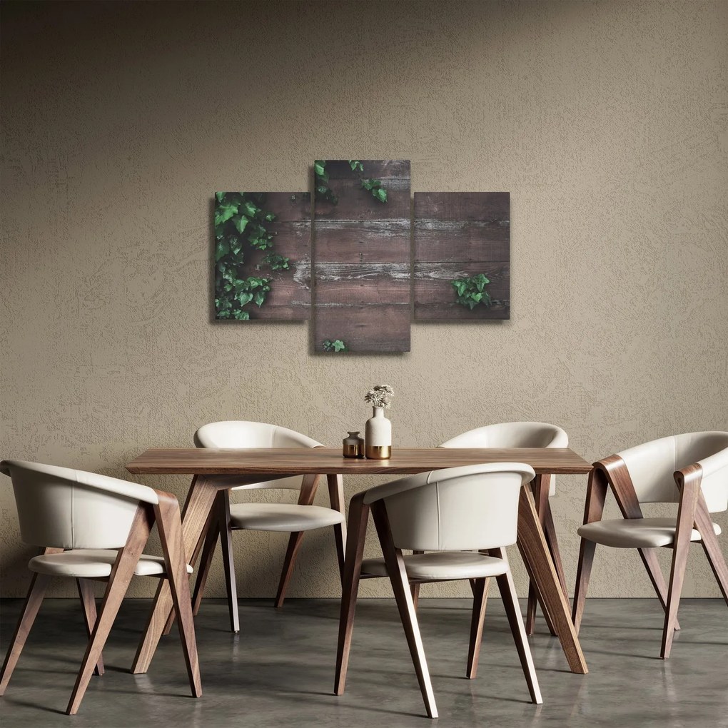 Obraz - Brečtan (90x60 cm)