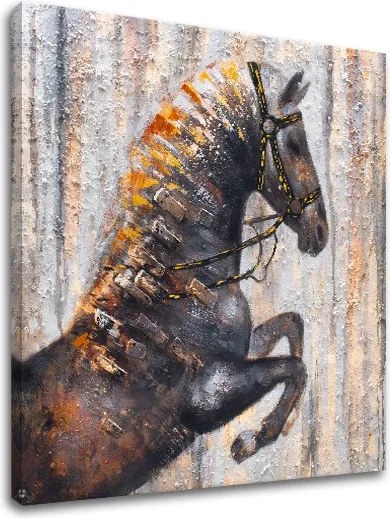 Obraz na plátne KÔŇ 1 dielny XOBCH1735HE1