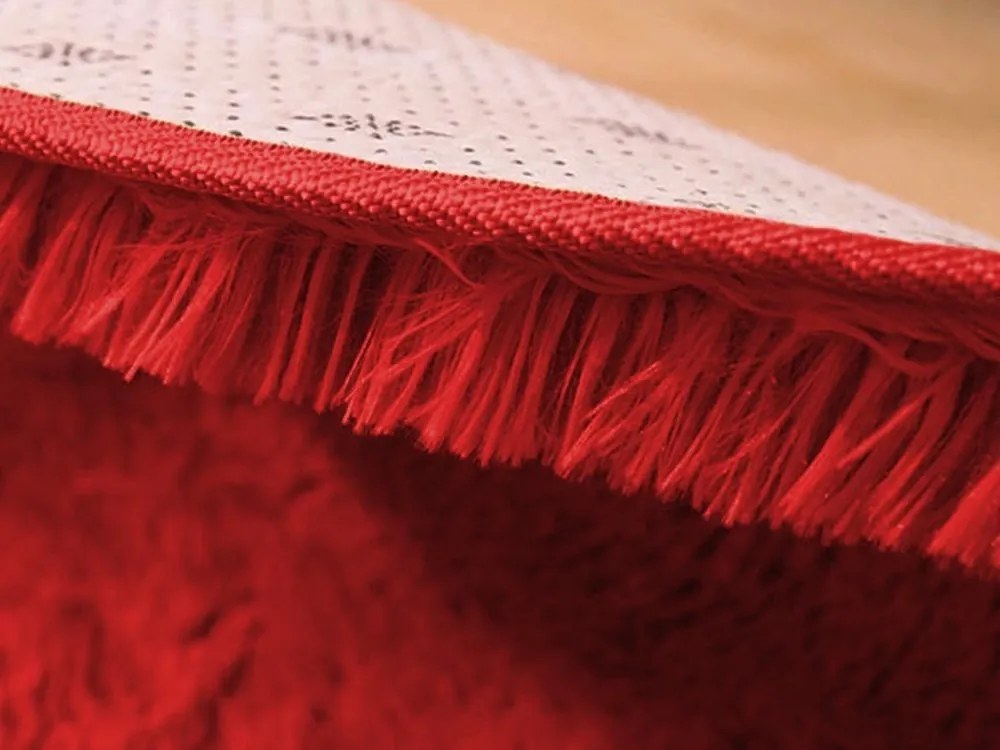 TZ Červený obdĺžnikový shaggy koberec Lana Rozmer: 100x150 cm