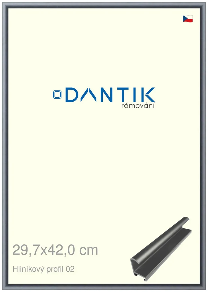 DANTIK rám na obraz 29,7x42 | ALU Platina matná (Plexi Čiré)