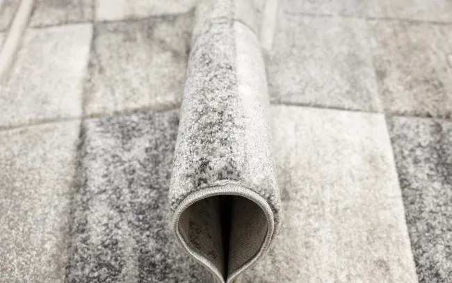 Koberec DAISY CARVING 7428B béžový / sivý