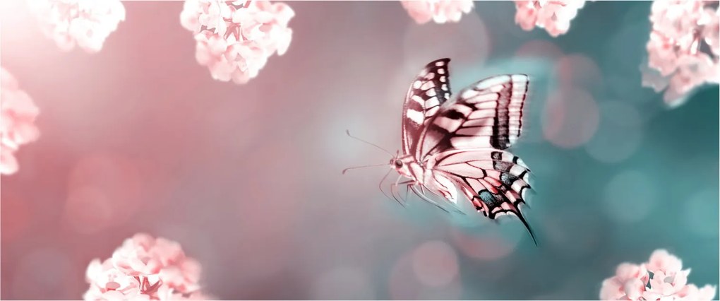 Obraz - Motýľ medzi kvetmi (120x50 cm)