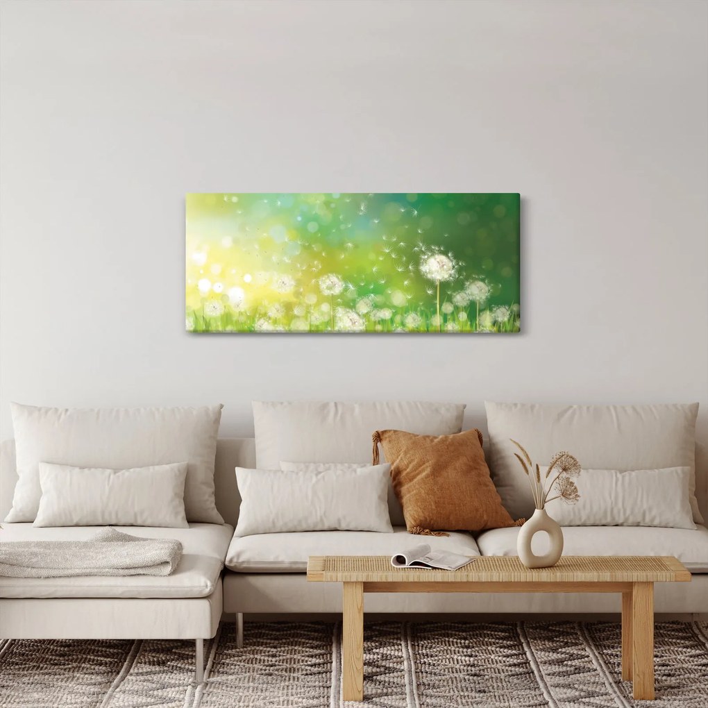 Obraz - Odkvitnuté púpavy (120x50 cm)