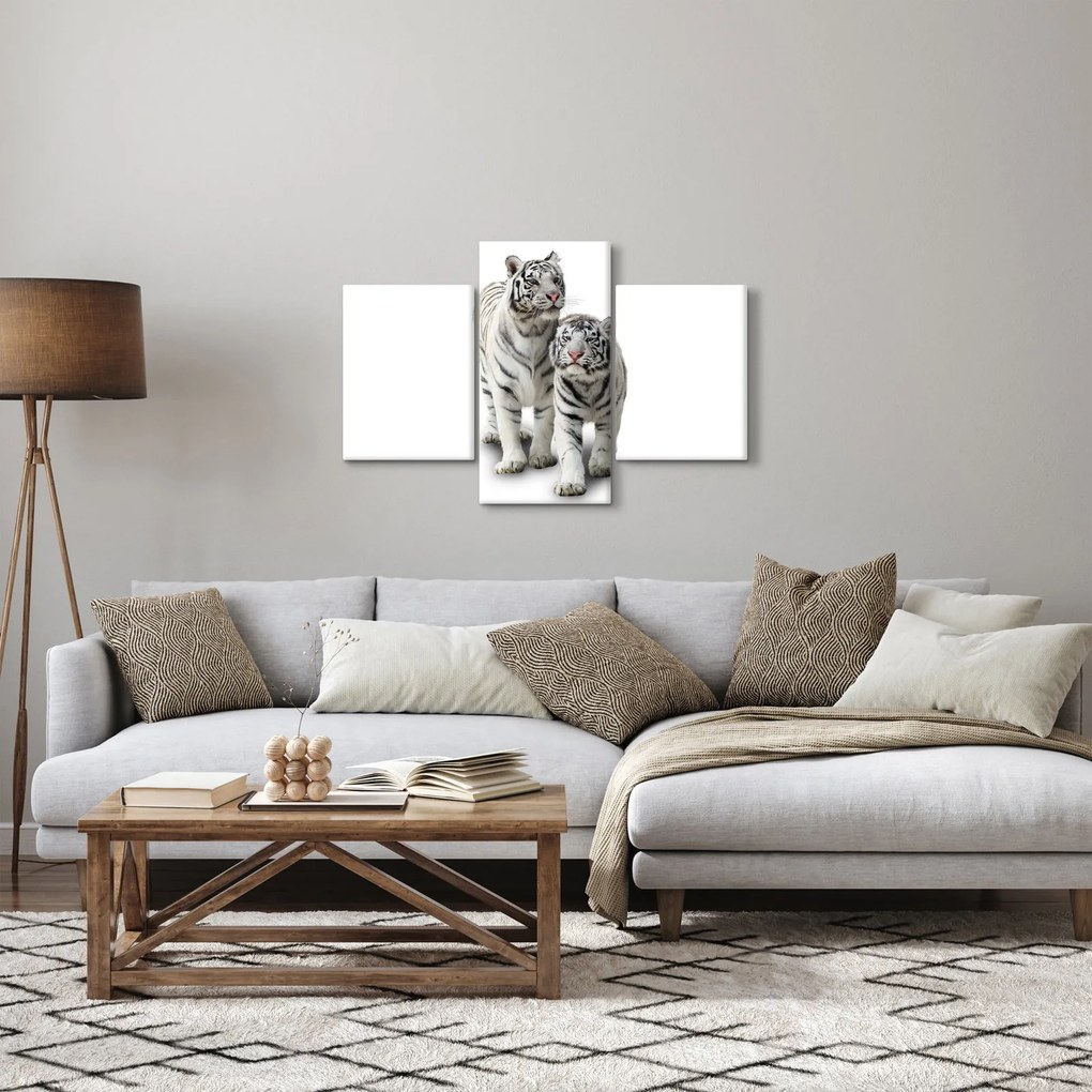 Obraz - Biely tiger (90x60 cm)