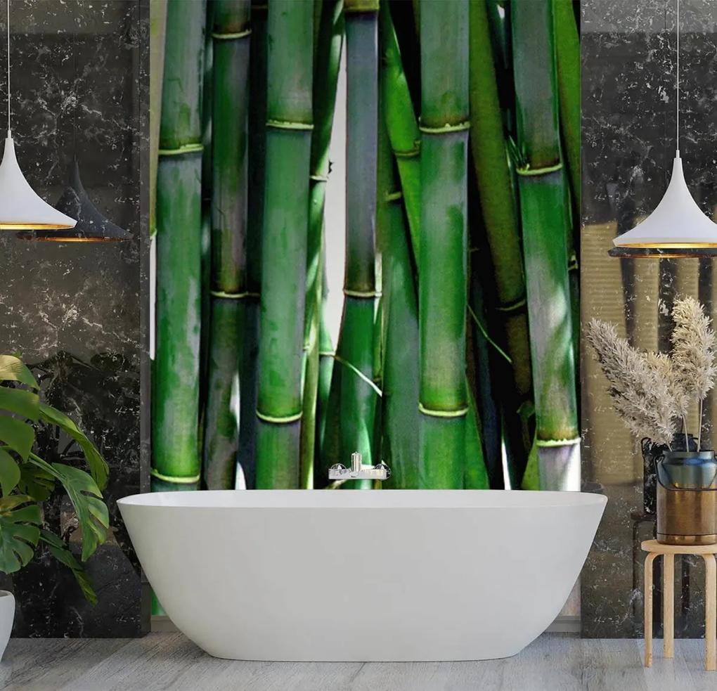 Fototapeta, Zelená bambusová textura - 150x210 cm