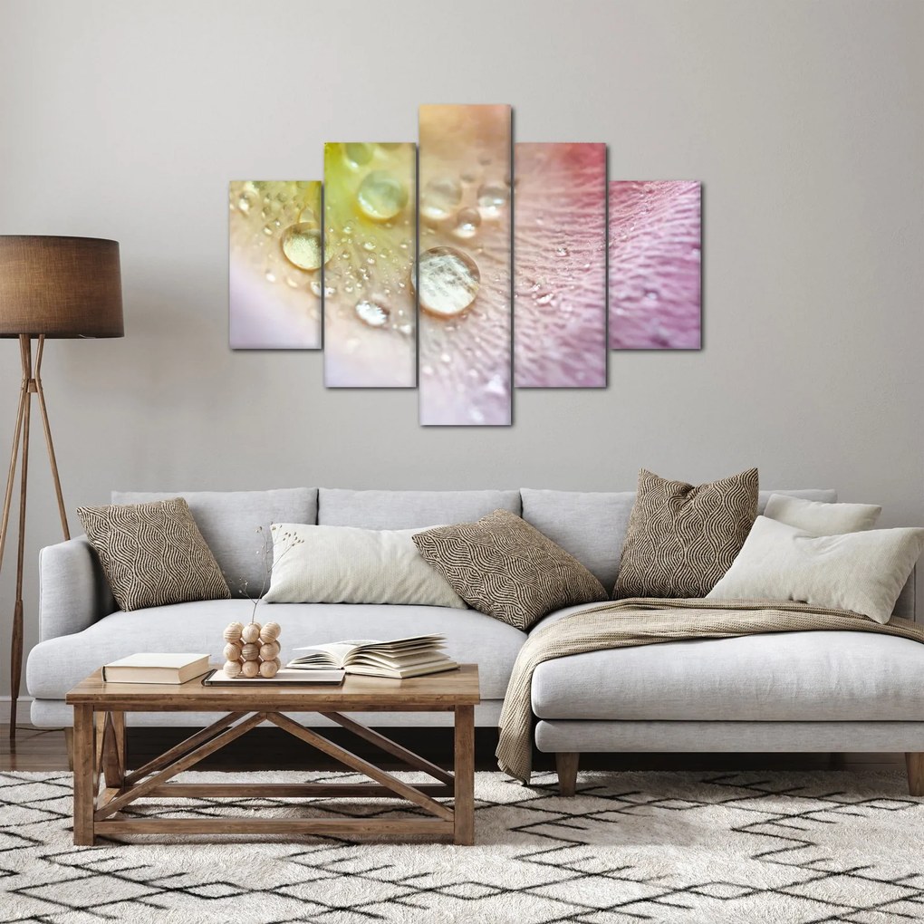 Obraz - Kvapky rosy (150x105 cm)