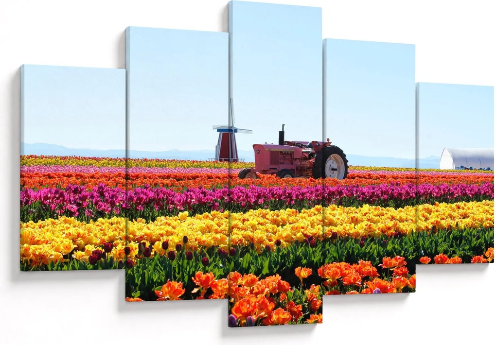 Obraz tulipánové farmy (150x105 cm)