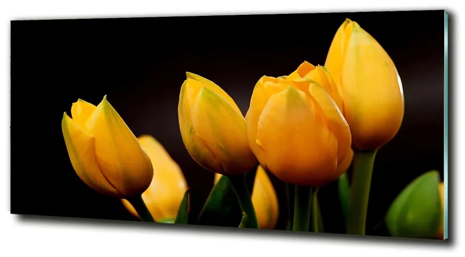 Foto obraz sklo tvrdené Žlté tulipány cz-obglass-125x50-64836622