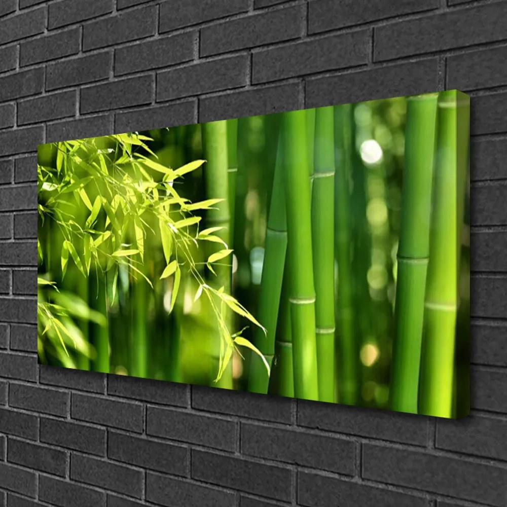 Obraz Canvas Bambus listy rastlina 120x60 cm