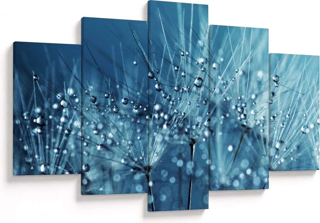 Obraz - Kvapky rosy (150x105 cm)