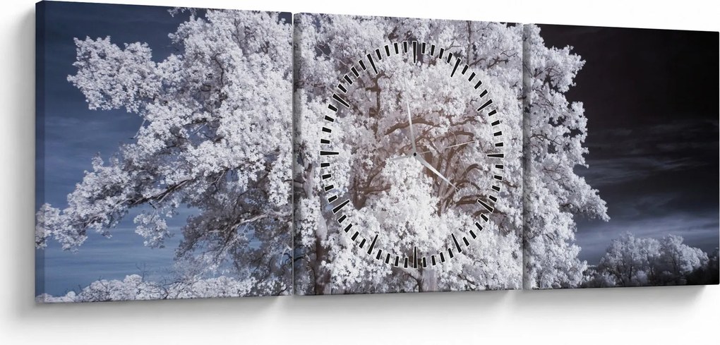 Obraz - Snehobiely strom (s hodinami) (90x30 cm)
