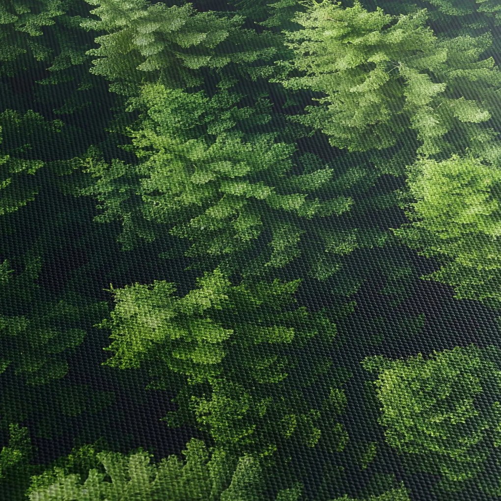 Obraz - Les (90x60 cm)
