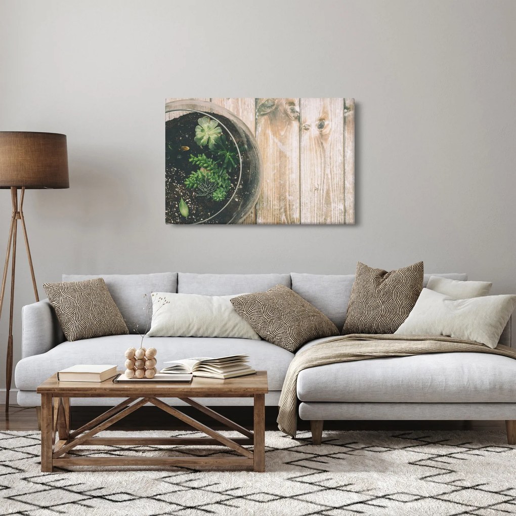 Obraz sukulentov v skle (90x60 cm)