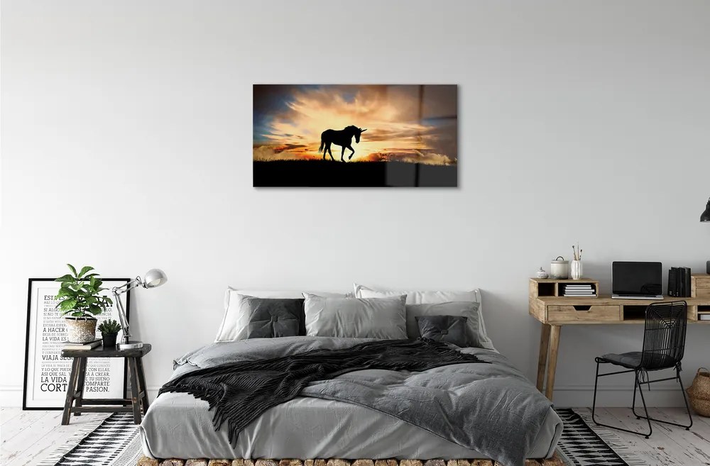 Obraz na akrylátovom skle Unicorn sunset 100x50 cm