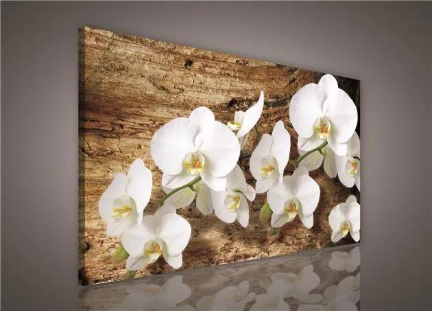 Obraz na stenu biela orchidea na dreve 100 x 75 cm