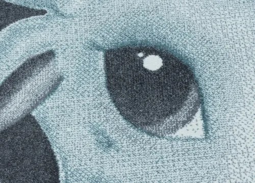 Koberce Breno Kusový koberec FUNNY 2107 Blue, modrá, viacfarebná,120 x 170 cm