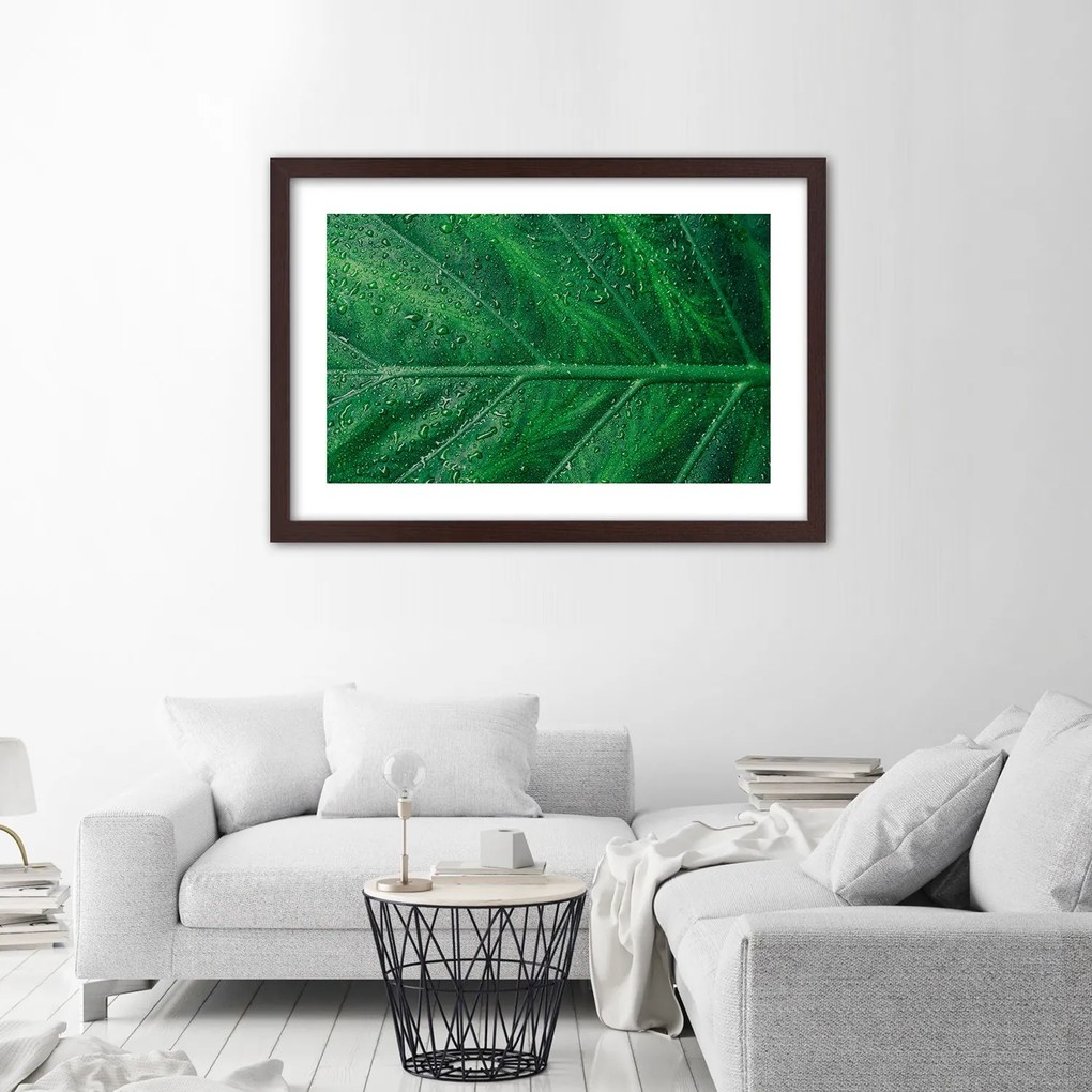 Gario Plagát Mokrý list v detailnom zábere Farba rámu: Bez rámu, Rozmery: 30 x 20 cm