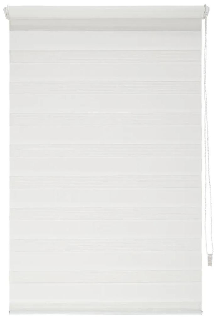 LIVARNO home Roleta deň a noc, biela (100 x 150 cm) (100333596)