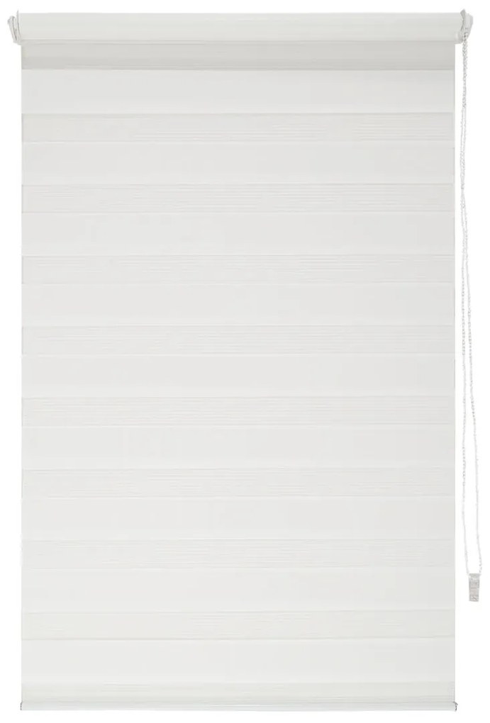 LIVARNO home Roleta deň a noc, biela (80 x 150 cm) (100333596)