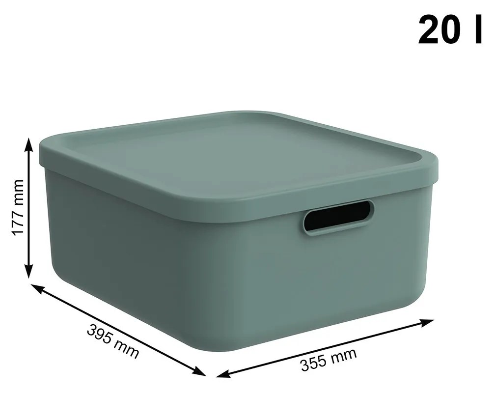Rotho Úložný box, rovný s vekom, 20 l, matná zelená ALBU LIGHT, 40 x 36 x 18