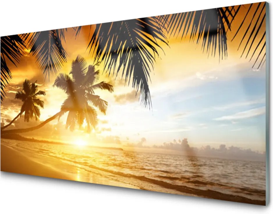 Skleněný obraz Pláž Palma More Krajina