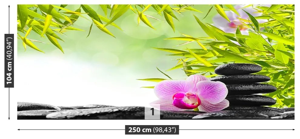Fototapeta Vliesová Bambus a orchidea 152x104 cm