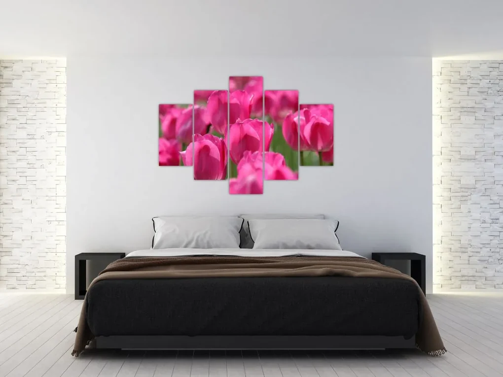 Obraz - Ružové tulipány (150x105 cm)