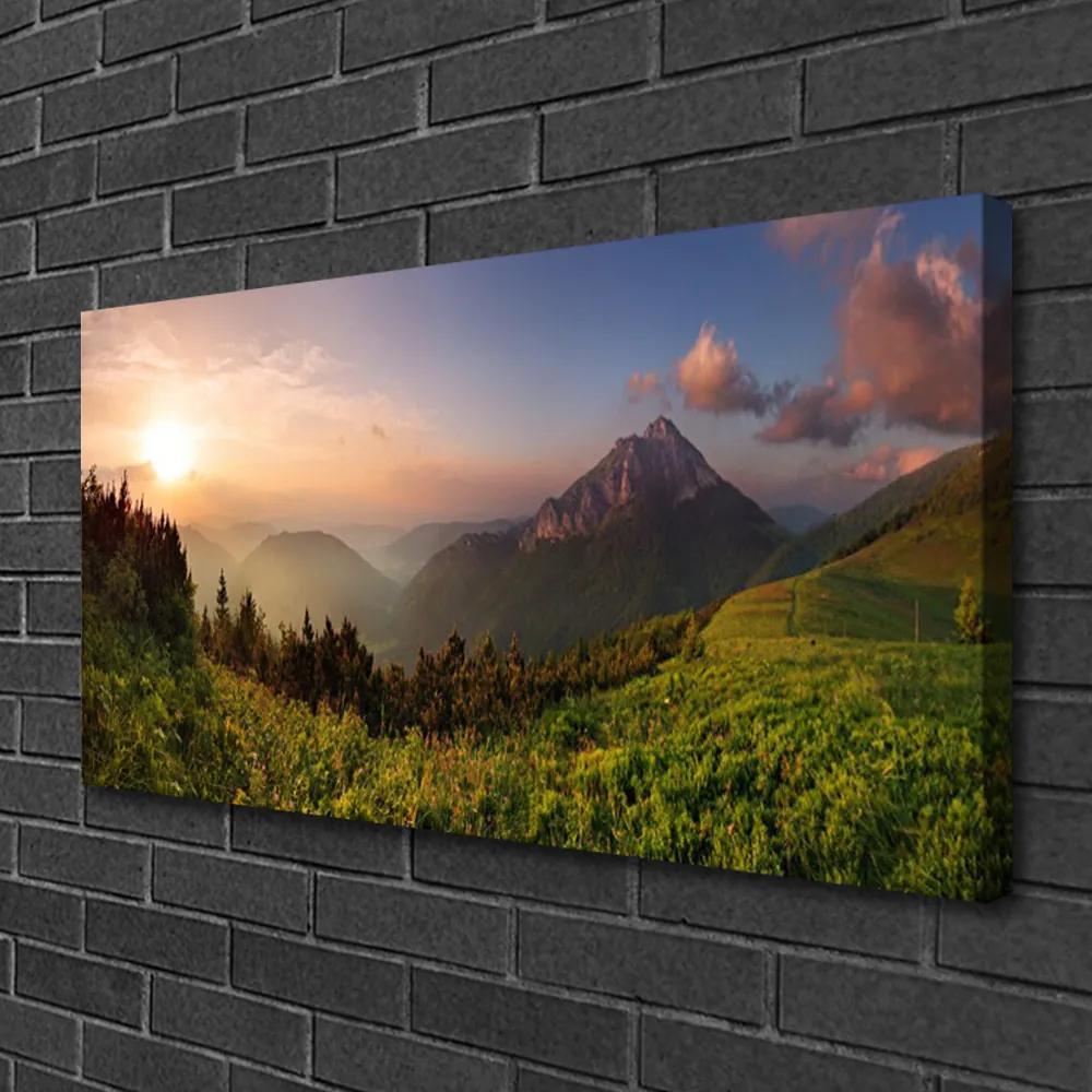 Obraz na plátne Hora les príroda 100x50 cm
