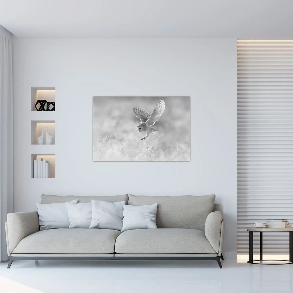 Obraz - Sova v poli (90x60 cm)