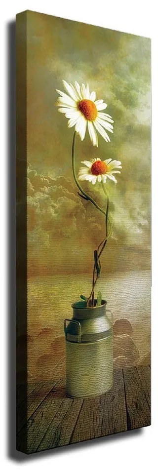 Nástenný obraz na plátne Daisy, 30 × 80 cm