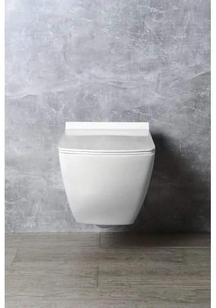 Isvea - WC sedátko SoftClose PURITY biela