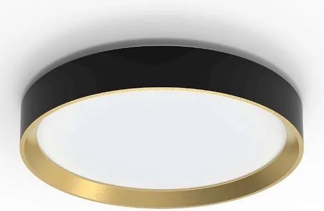 Philips - LED Stmievateľné stropné svietidlo HANNO  LED/24W/230V 4000K čierna