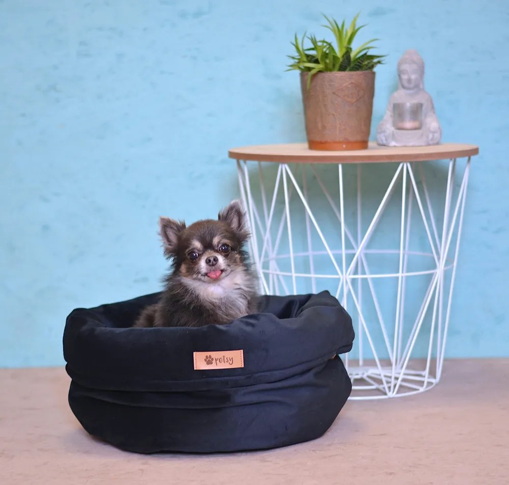 PETSY Pelech "BASKET" ROYAL / MODRÁ