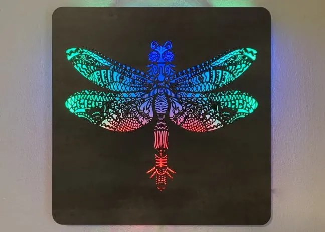 Led obraz Vážka RGB na batériu