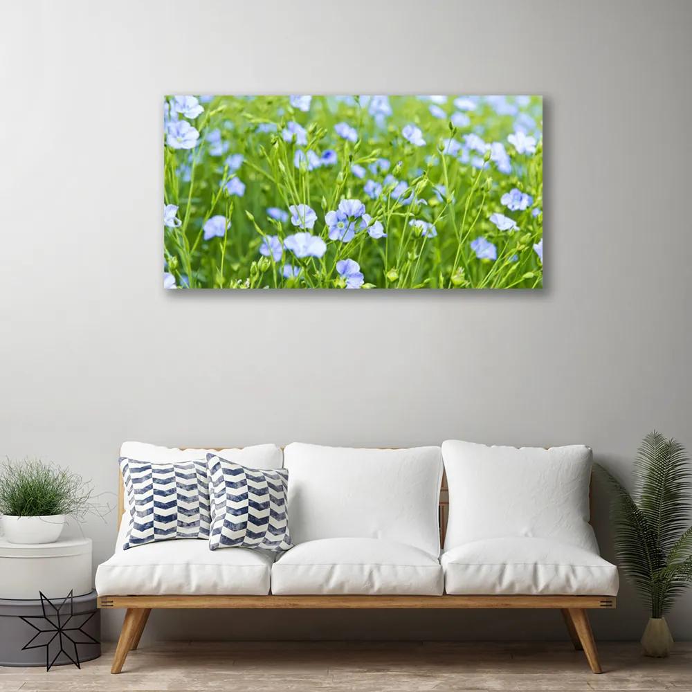 Obraz na plátne Kvety tráva rastlina príroda 125x50 cm