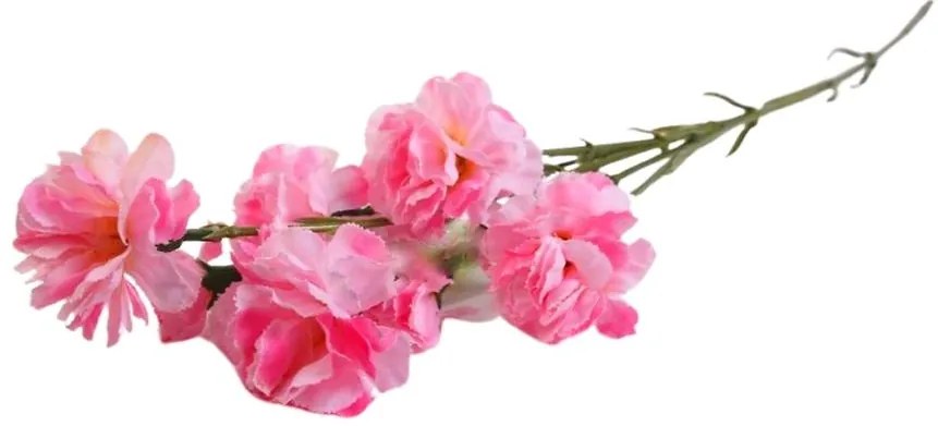 Vetvička klinčekov žltá  ľaliová A2010239