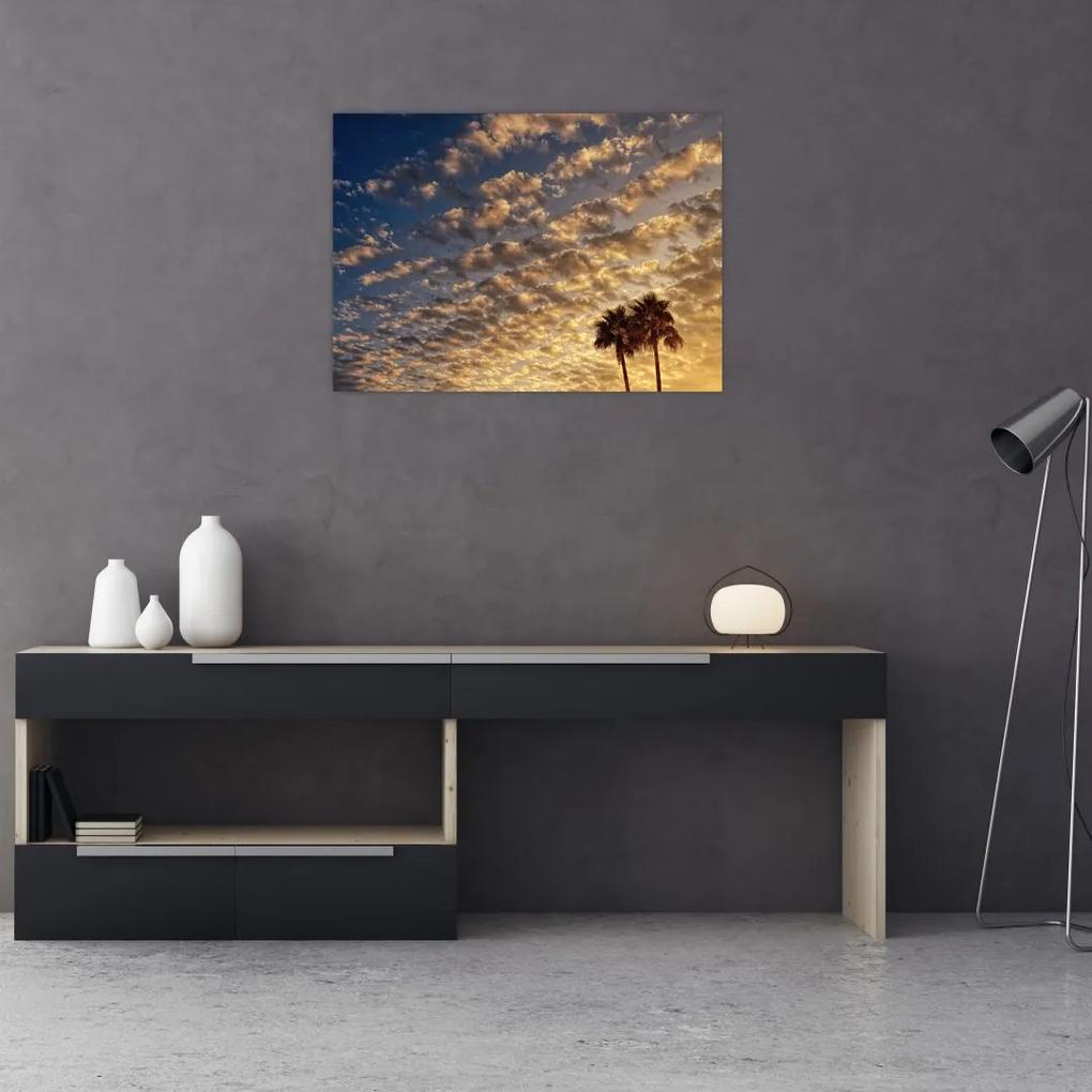 Obraz - Palmy medzi mrakmi (70x50 cm)