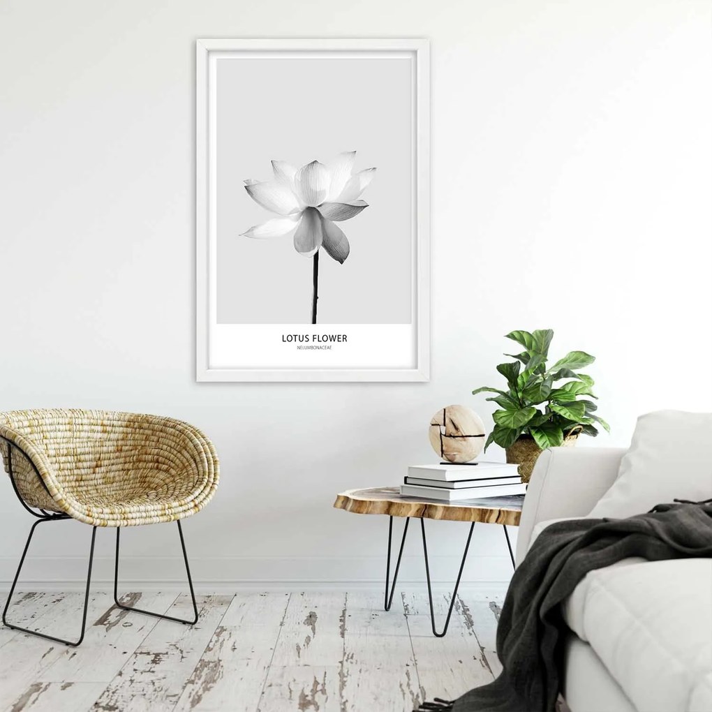 Gario Plagát Biely lotosový kvet Farba rámu: Bez rámu, Rozmery: 30 x 45 cm
